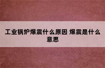 工业锅炉爆震什么原因 爆震是什么意思